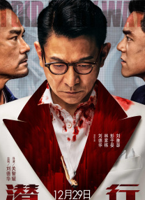 国产第一区二区三区在线观看